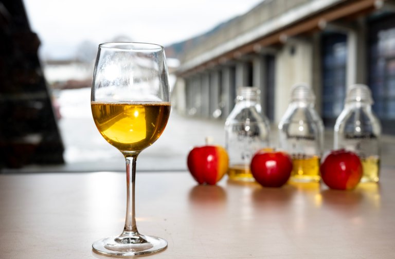 Cider made from historic apple varieties at the NIBIO research facilities in Ullensvang. Photo: Erling Fløistad