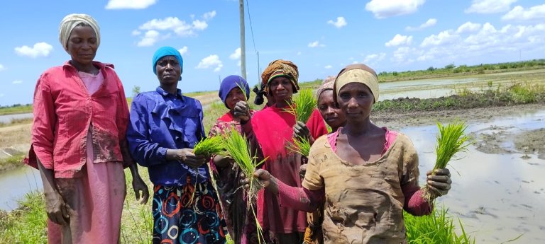 Tanzanian agriculture has an enormous potential to improve people’s livelihood given the fact that it employs more than 65 percent of its population. Photo: Atu Bilaro