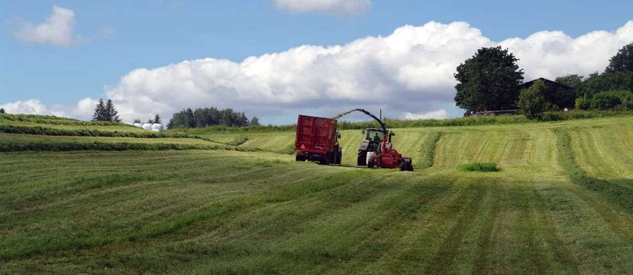 grovfor-traktor_åshild t randby