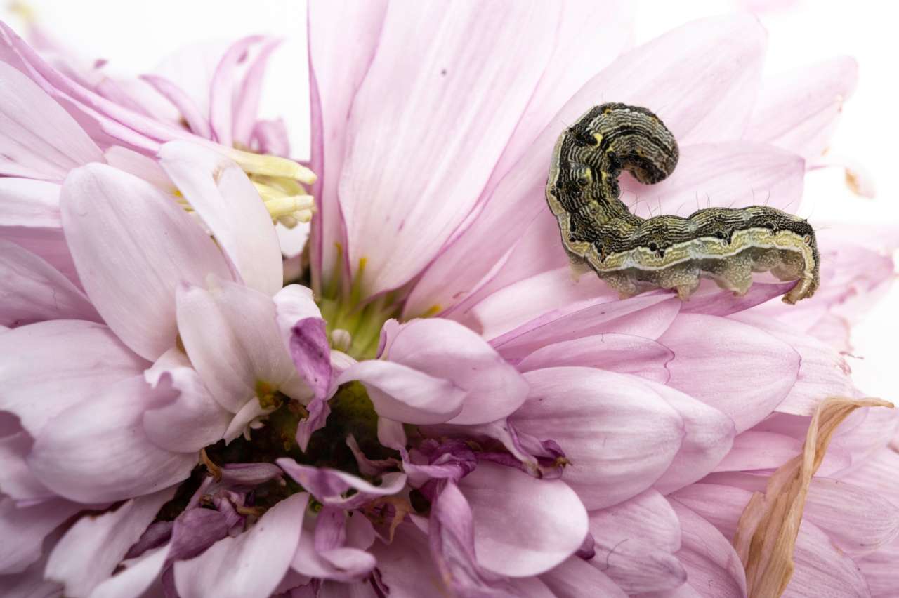 erfl-20221221-114936