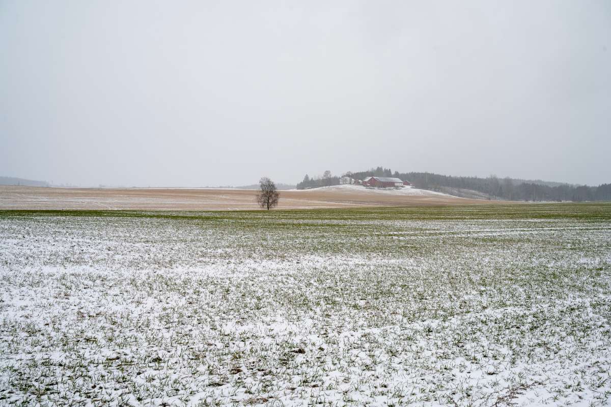 erfl-20240404-155136