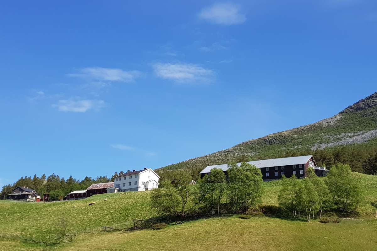 2020-06-14 11.21.55_cropped