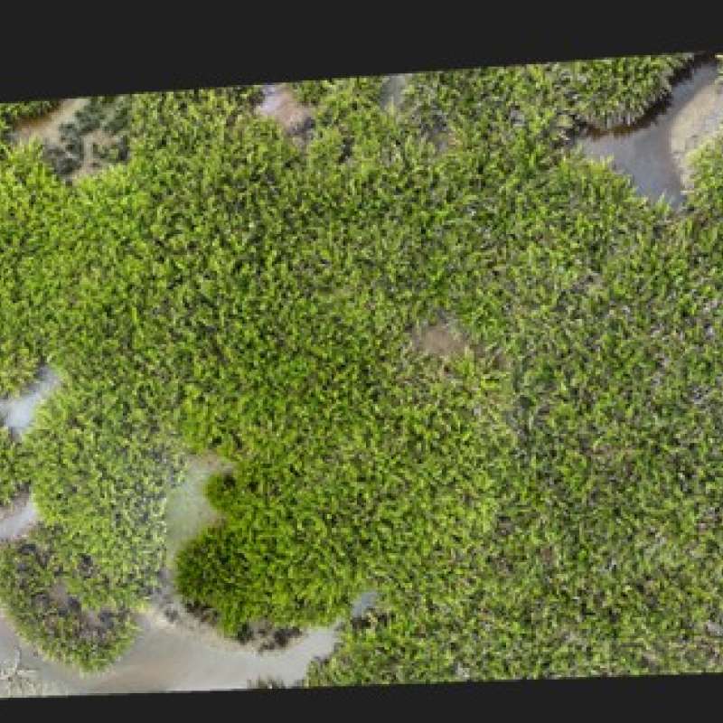 Bilde av kystlandskap tatt med drone