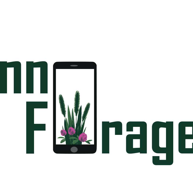 InnoForage logo timothy and clover