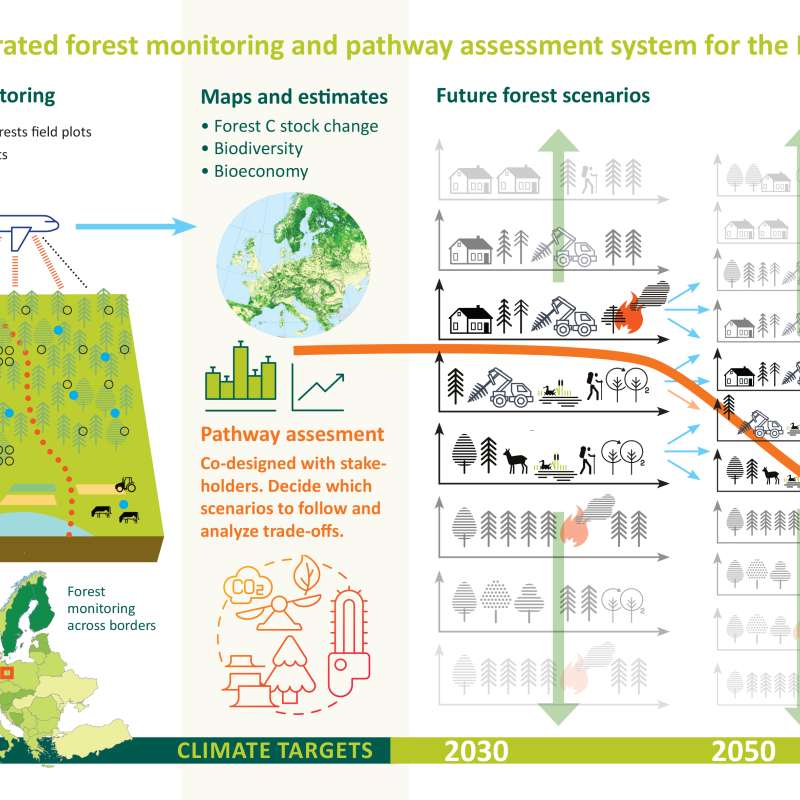 Pathway assesment graphic