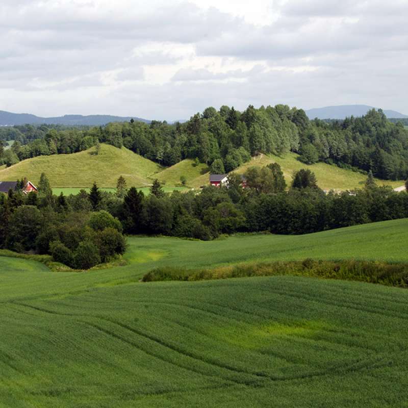 Kulturlandskap