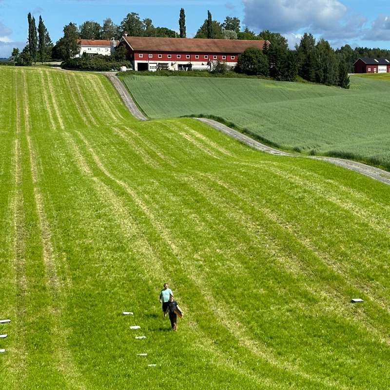 Feltforsøk på jordet