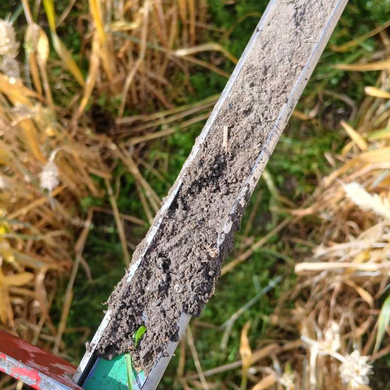 Soil sampling in BIO-CROP