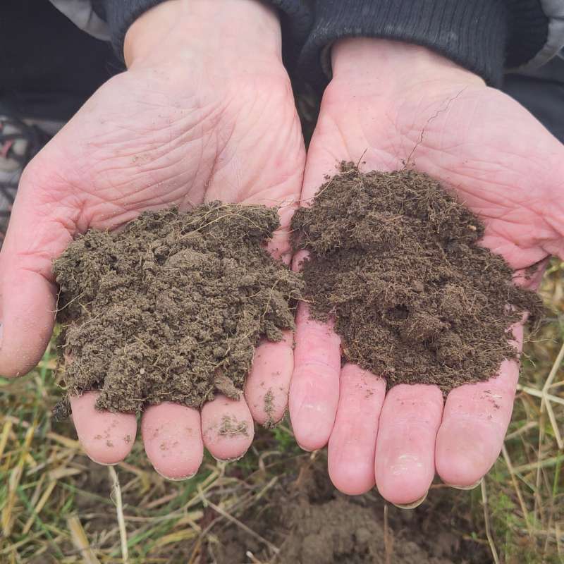 Soil samples from regenerative and conventional fields