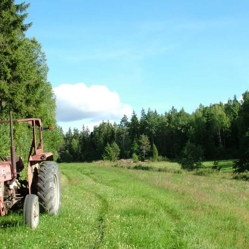 Gammel traktor i kanten av et jorde 