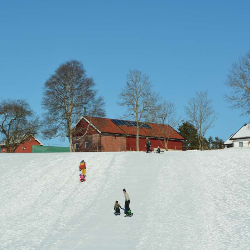 Barn i en akebakke utenfor gårdstunet