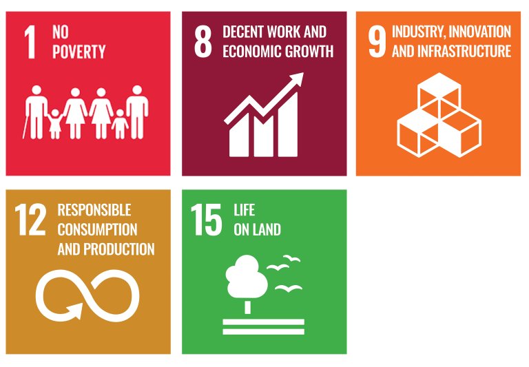 Latin-America CID development goals.jpg