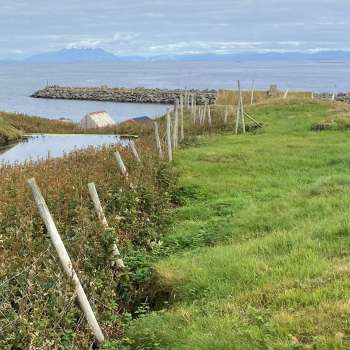 17-11-Vil restaurere truede naturtyper_Line Johansen