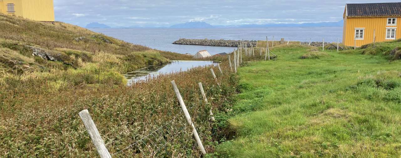 17-11-Vil restaurere truede naturtyper_Line Johansen