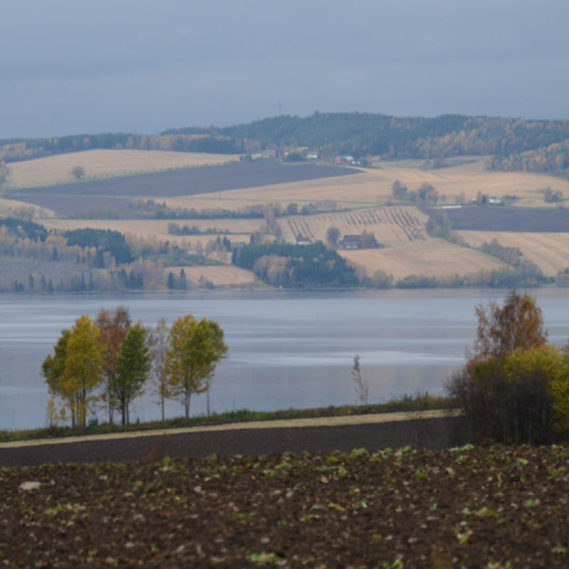 Landscape with water