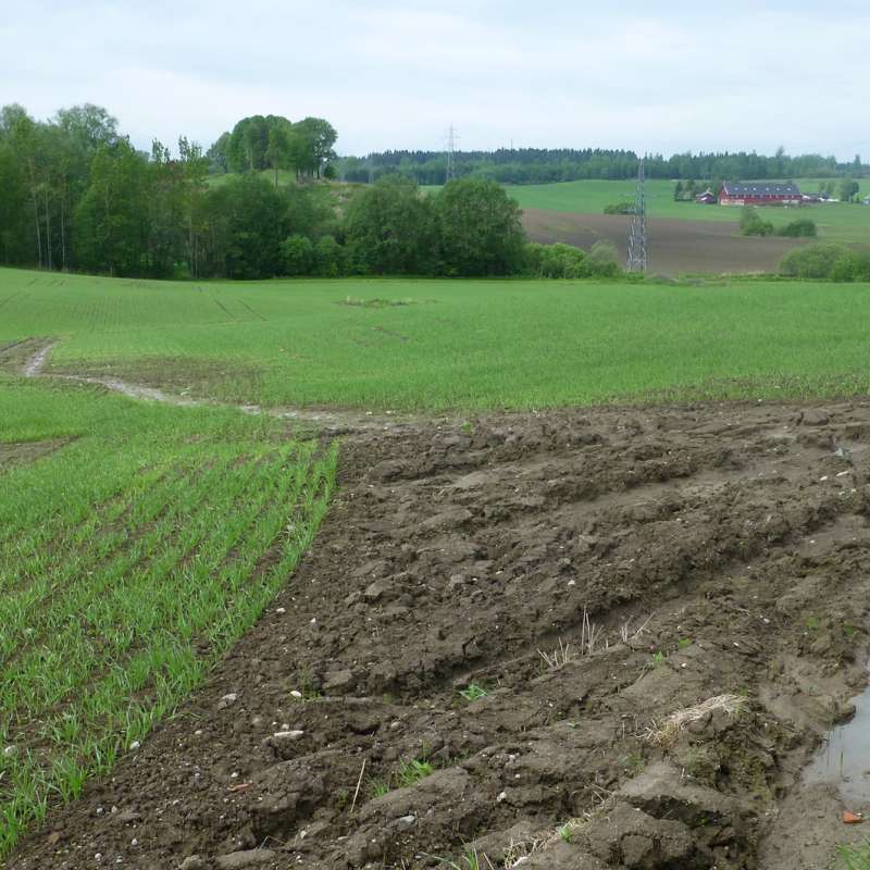 Erosjon-JannesStolte-1