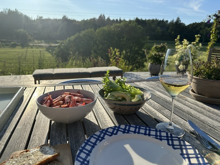 Kan norsk vin til rekene bli den nye normalen? Allereie har det dukka opp vinrankar på fleire norske gardar. Foto: Camilla Baumann