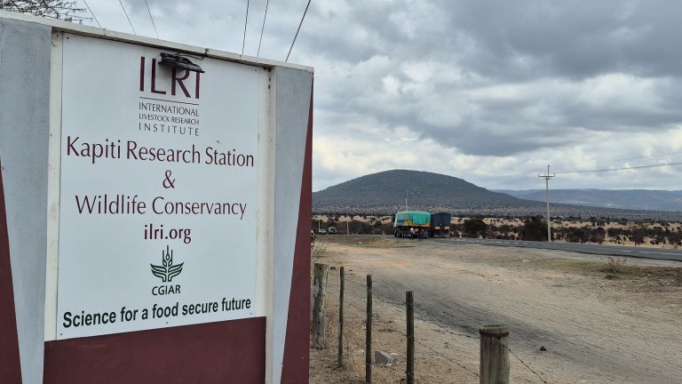 ILRI Kapiti Research Station & Wildlife Conservancy, Kenya. Photo: Morten Günther