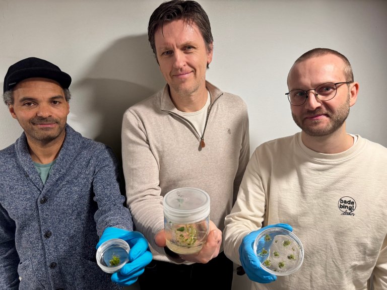 Overingeniør Magne Nordang Skårn, Forsker Tage Thorstensen og forsker Sjur Sandgrind er en del av NIBIOs dedikerte CRISPR-miljø. Målet er å bygge opp et sterkt kompetansemiljø og et tyngdepunkt i Norge. Foto: Siri Elise Dybdal