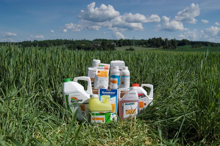 Fleire og fleire kjemiske plantevernmiddel mister godkjenninga si, utan å bli erstatta av nye. Dette bekymrar forskarane. Foto: Erling Fløistad, NIBIO