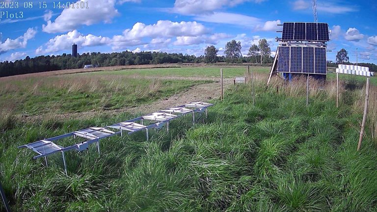 Kameraer på feltet tok bilder med jevne mellomrom, slik at forskerne kunne følge vegetasjonsutviklingen og se at de automatiske kamrene fungerte som de skulle.
