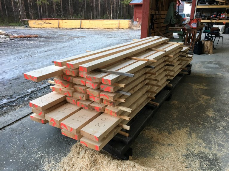 I gjennomsnitt har grana i nord noe lavere tetthet enn det som er funnet for gran fra Sør-Norge. Men, for noen av områdene i nord er tettheten på nivå med gran fra Sør-Norge. Foto: Trude Hagen, Statsforvalteren i Troms og Finnmark