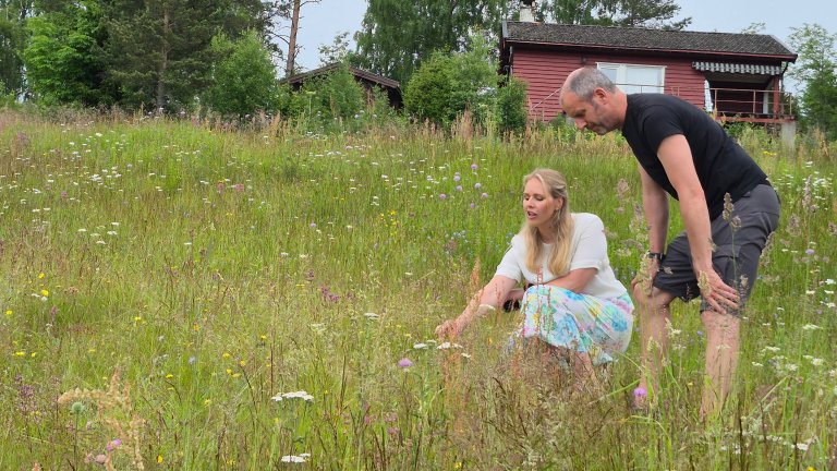 Gårdeier Anne Rokne Bolkesjø i samtale med seniorrådgiver Trond Eirik Silsand ved Statsforvalteren i Vestfold og Telemark. Foto: Morten Günther