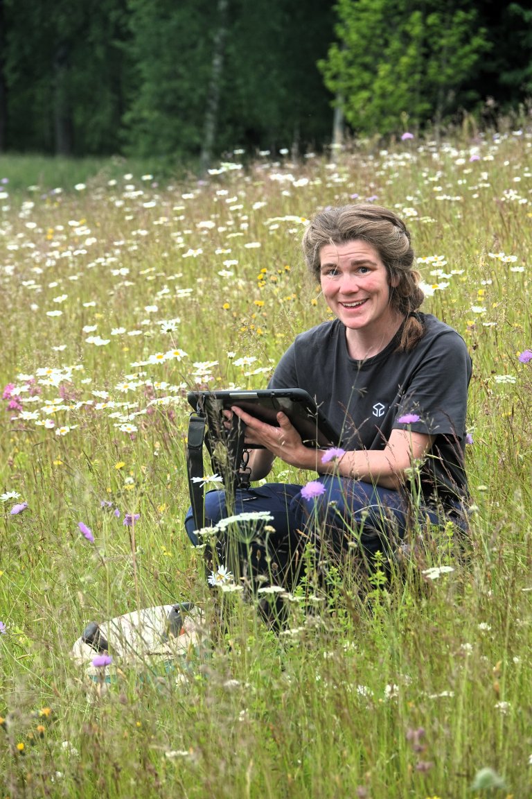 Avdelingsingeniør Kristine R. Sundsdal registrerer en rekke opplysninger om hver enkelt plante etter hvert som de plantes ut. Foto: Morten Günther