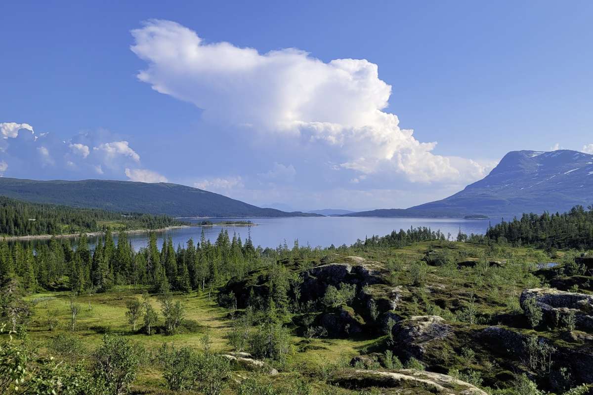 mg2021-07-26 16.19.58