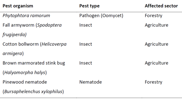 In PurPest, researchers from all over Europe will develop electronic noses to sniff out five selected plant pests. The pests have a wide range of hosts and threaten both agriculture and forestry in Europe.