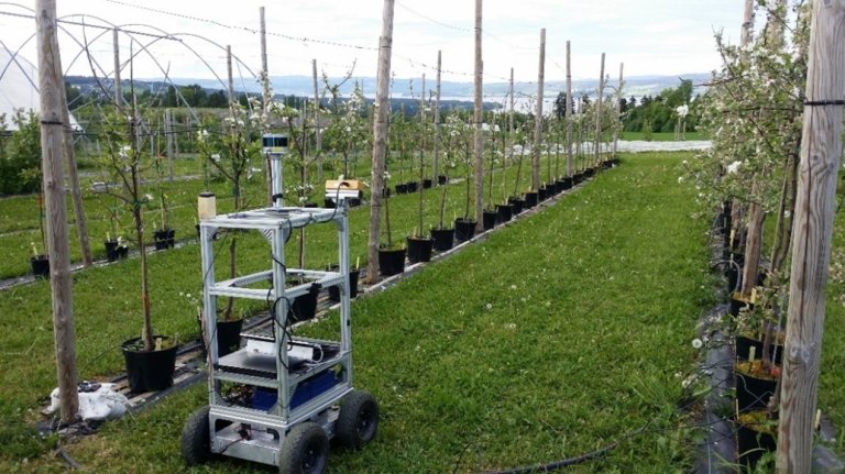 Across NIBIO’s research stations at Apelsvoll, Tromsø, and Særheim, cutting-edge field and indoor phenotyping infrastructure is being built that covers Norway’s full agricultural spectrum. Photo: NIBIO