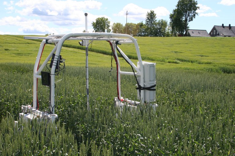 The aim of the project us to help speed up the development of new climate adapted plant varieties to support more sustainable farming by using new technology in genetics, basic plant biological research, robotics, and data analysis.  Photo: NMBU