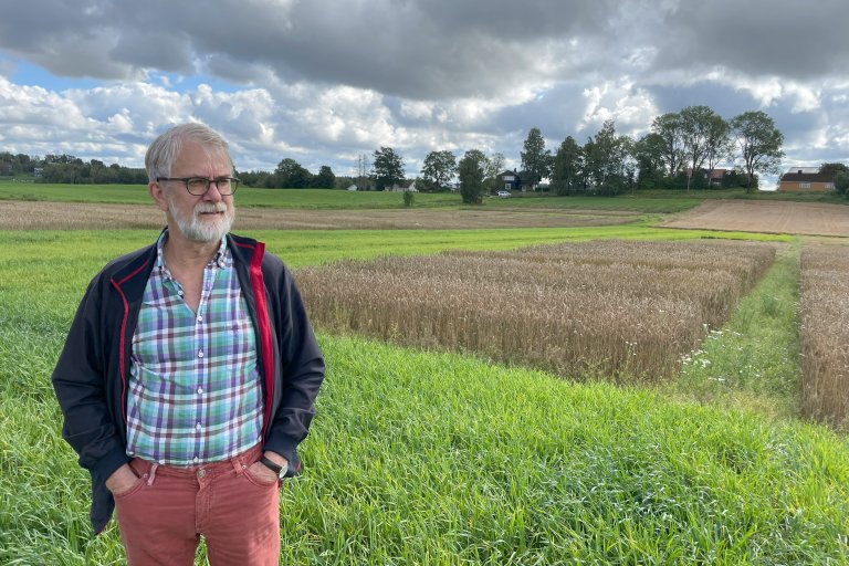 Odd Arne Rognli, professor at NMBU, says new methods allow researchers to describe phenotypes more precisely and link them to genetic information. Photo: NMBU