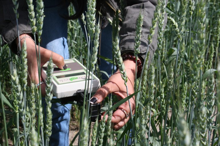Modern agriculture—especially in greenhouses and precision farming—requires more than traditional knowledge Photo: NMBU
