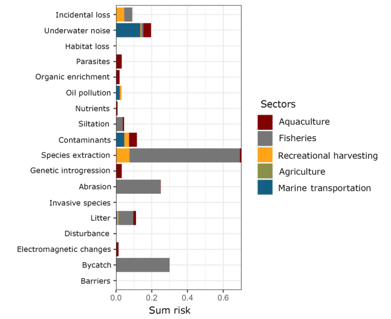 Cumulative impact risk from 18 pressures related to the five main food-producing sectors on the northern Norwegian marine coastal ecosystem. Diagram: Johanna Myrseth Aarflot / Institute of Marine Research