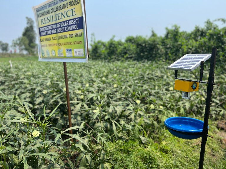 Along with digital advancements, the Resilience project has had success with other technology too, such as this solar panel insect light trap for insect control. The trap is currently in operation at a Resilience farmer-led demonstration field in Ganjam district, Odisha. Photo: Kathrine Torday Gulden