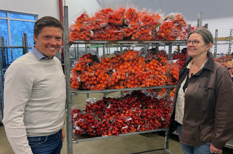 Mester Grønn er en av Norges største blomsterkjeder, og en viktig partner i prosjektet. De har allerede tatt grep for å redusere bruken av plantevernmidler i produksjonen sin. Her ser vi Henrik Jagland, miljøsjef hos Mester Grønn sammen med prosjektleder fra NIBIO, seniorforsker Trine Eggen. Foto: Kathrine Torday Gulden
