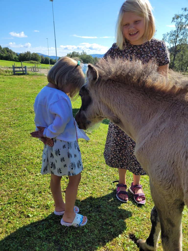 Both animals and humans learn best when we are motivated to make changes while being relaxed and receptive to new information. This means that we learn poorly when we are stressed, scared, or angry. Curiosity is the best starting point for learning. Photo: Grete H.M. Jørgensen