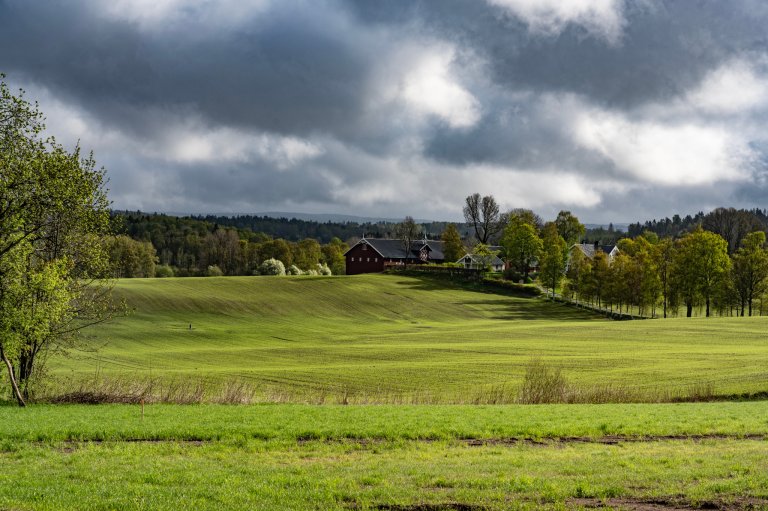 Bøe’s research shows that there is no single answer to what constitutes “good soil health.” Soil types are shaped by climate, topography, and geological history, and vary from place to place. Here, a farm in Ski, Akershus County in Eastern Norway. Photo: Erling Fløistad
