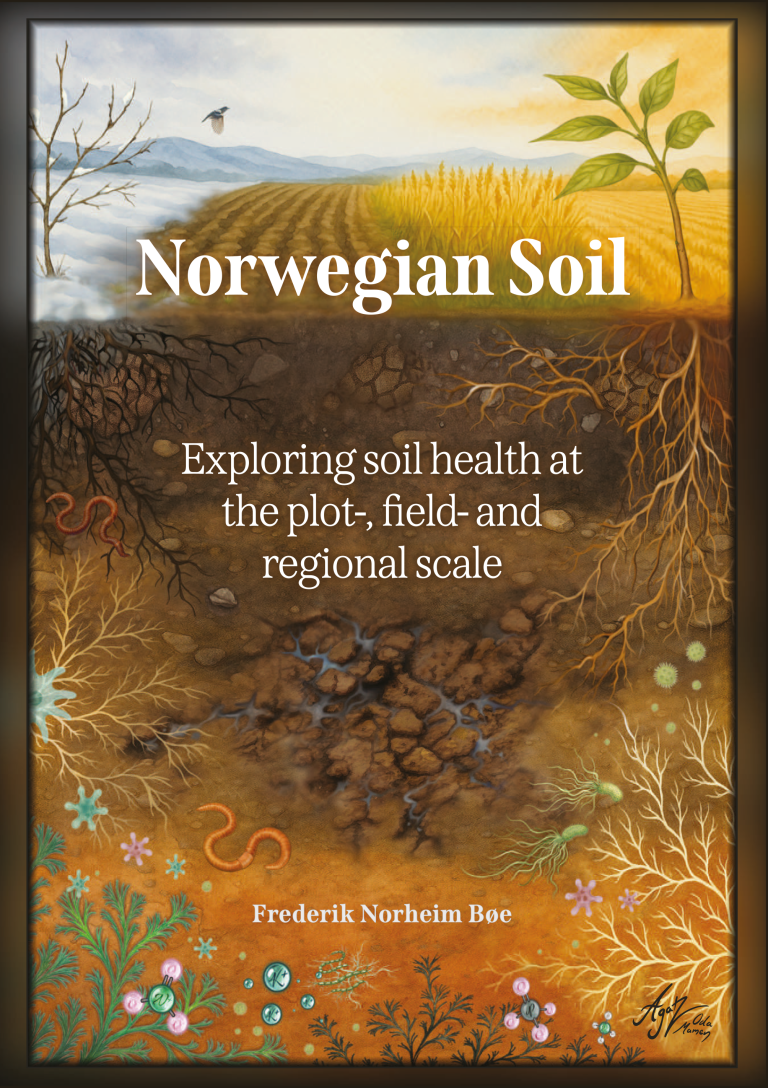 Frederik Norheim Bøe's thesis. Illustration: Oda Mamen