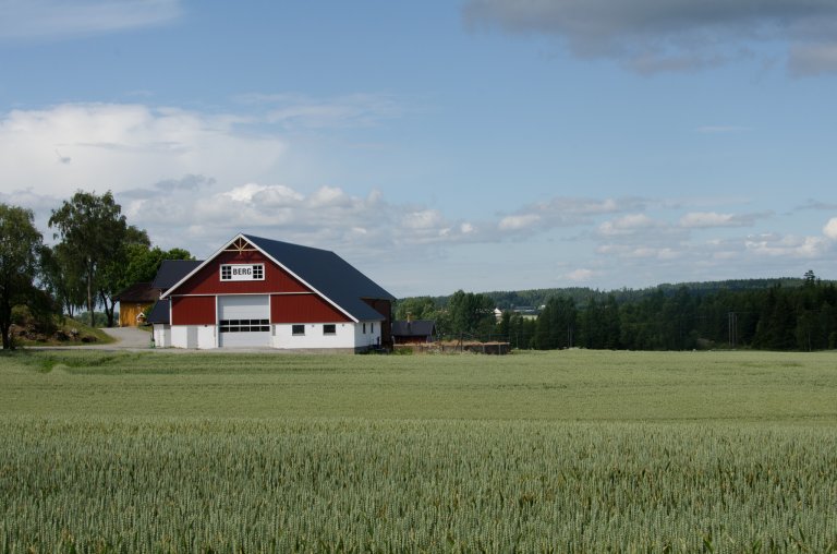Photo: Morten Günther