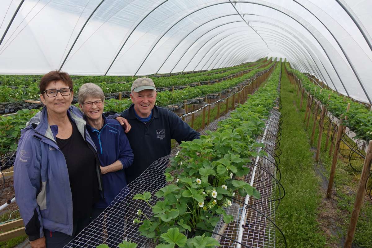 Hovedbilde alt 2 Ingrid, Marianne, Frode Vik. j.sch_cropped