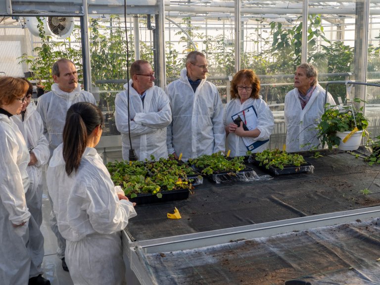 Project participants visiting Sagaplant. Photo: Siri Elise Dybdal