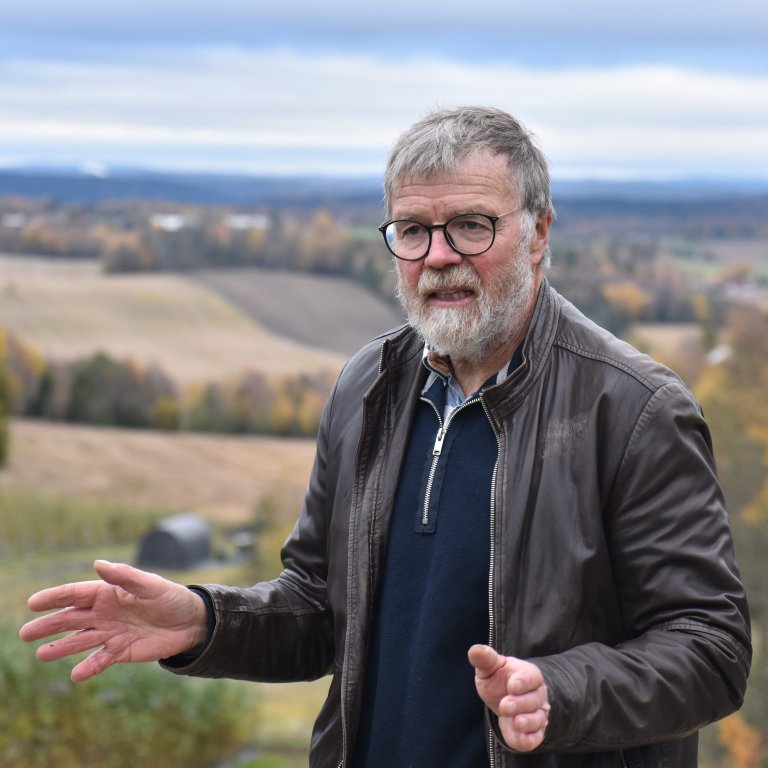 Raspberry farmer Roy Andersen operates "Raspberry Land" just outside Drøbak. Here, customers can buy raspberries straight from the field, as well as honey and raspberry wine. Photo: Siri Elise Dybdal