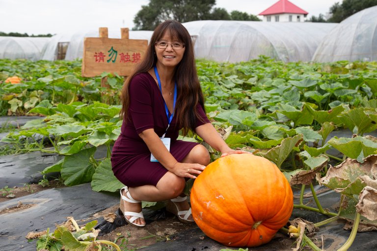 Professor and senior researcher Jihong Liu Clarke is central to NIBIO's China work. She fulfils the roles of initiator, interpreter, coordinator and cultural expert. Photo: Lars-Ludvig Røed