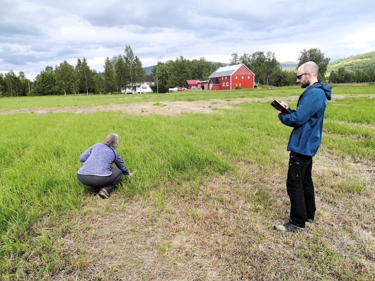 Forskningen i prosjektet har blitt gjennomført i samarbeid med Norsk Landbruksrådgiving sin avdeling i Nord-Norge, som hjalp til med å velge ut representative beiteområder fra bønder i fem regioner: Nordreisa, Malangen, Målselv, Kvæfjord og Sortland (4-5 beiteområder per region.) Foto: Marit Jørgensen