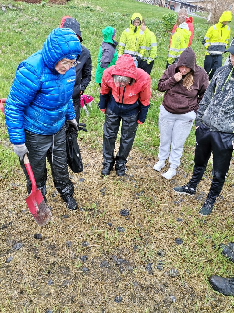 Feltmøte i Sortland. Foto: Ingvild Melkersen, NLR