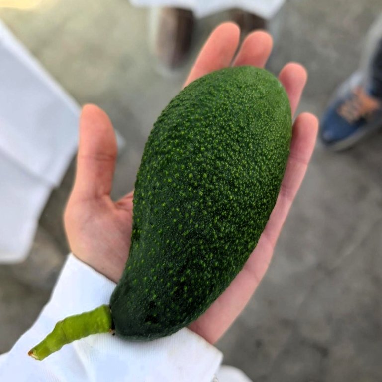 Media (1)_cropped.jpg