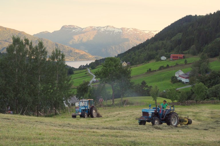 20200725-P7250660_Henrikgarden_Stårheim_Nordfjord_ULB_cropped.JPG