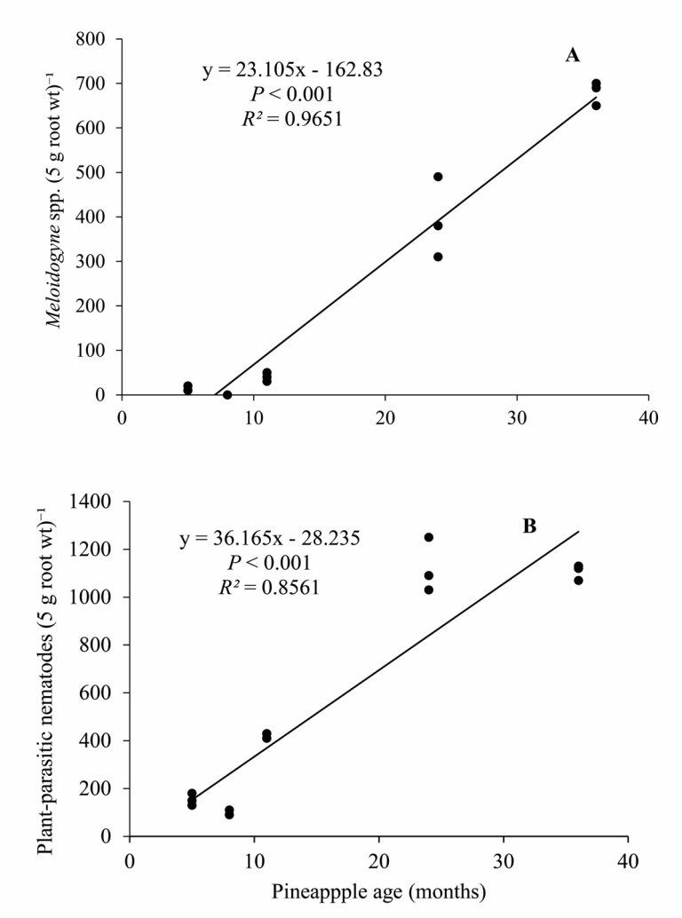 fig2.jpg